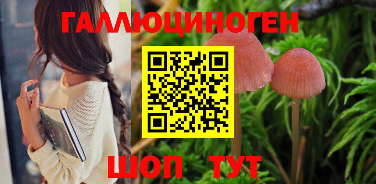 Шали  что такое наркотик  Вход с VPN  Псилоцибиновые грибы GOLDEN TEACHER 