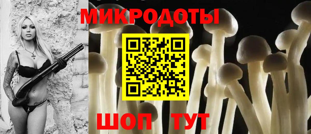 Псилоцибиновые грибы GOLDEN TEACHER Шали